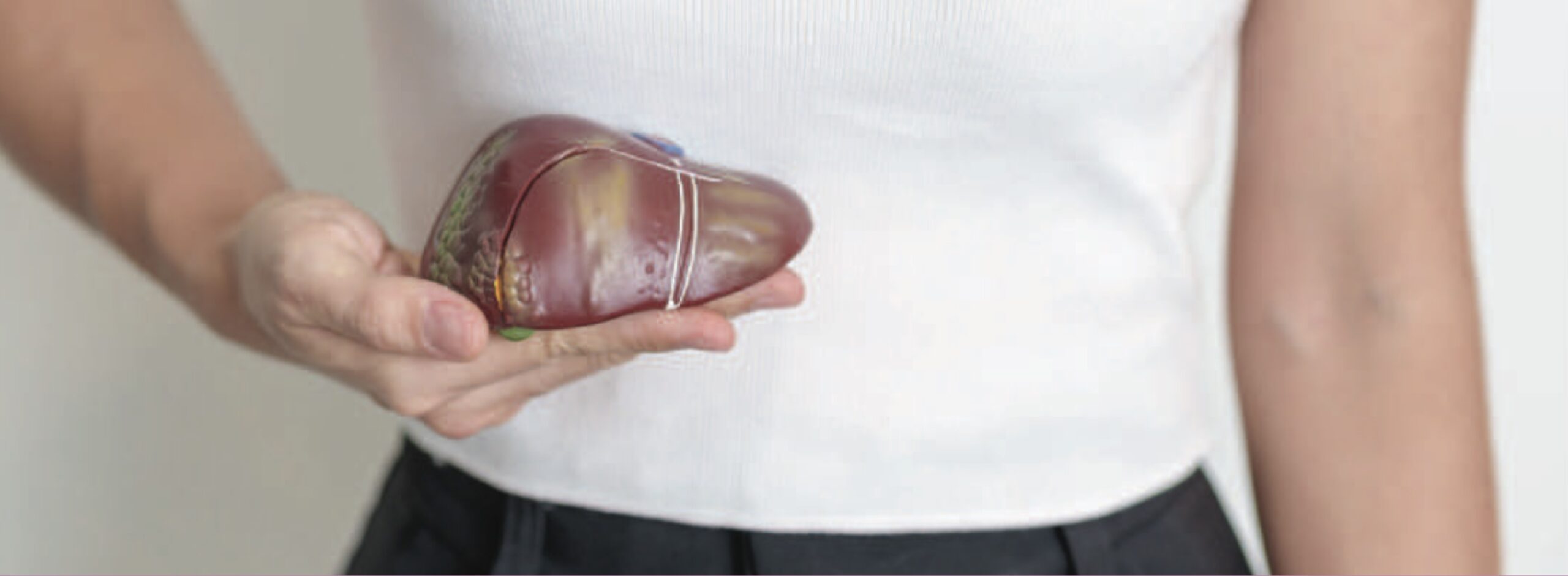 El hígado: el motor silencioso de tu bienestar